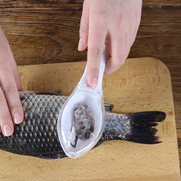 Nettoyage grattoir à peau de poisson – Image 2
