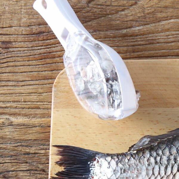 Nettoyage grattoir à peau de poisson – Image 9