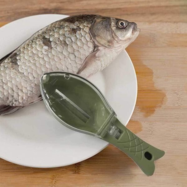 Nettoyage grattoir à peau de poisson – Image 5