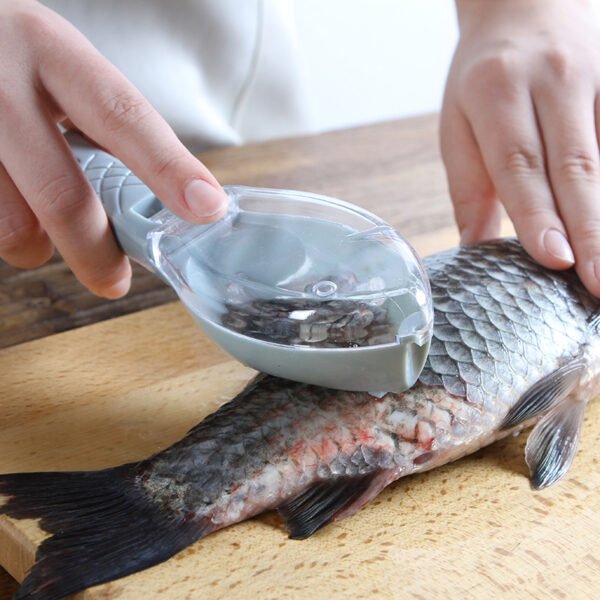 Nettoyage grattoir à peau de poisson