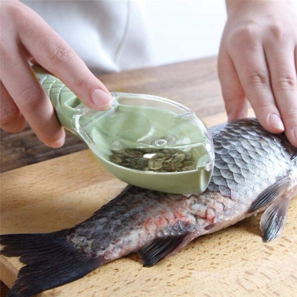 Nettoyage grattoir à peau de poisson – Image 3